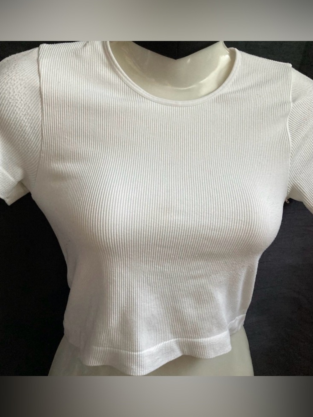 Street Wear Society White Ribbed Crop Top Short Sleeve Size S